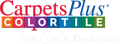 Color Destination Logo | Lloyd's Carpets & Draperies