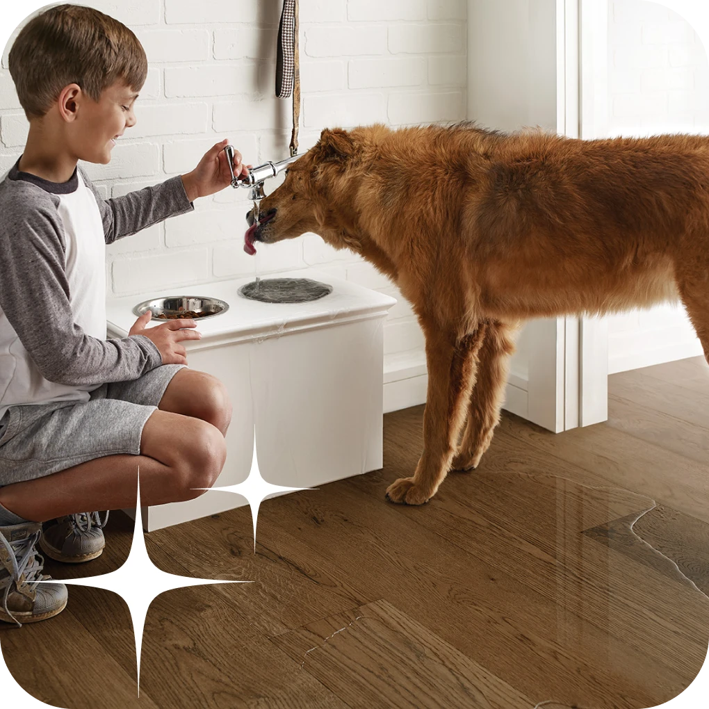 Dog drinking out of his bowl with water spilled on the floor | Lloyd's Carpets & Draperies