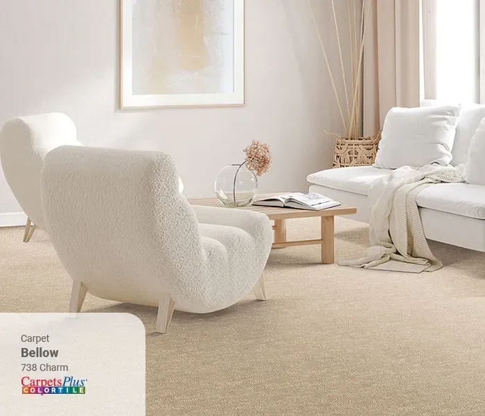 LookBook-Carpet-Bellow | Lloyd's Carpets & Draperies