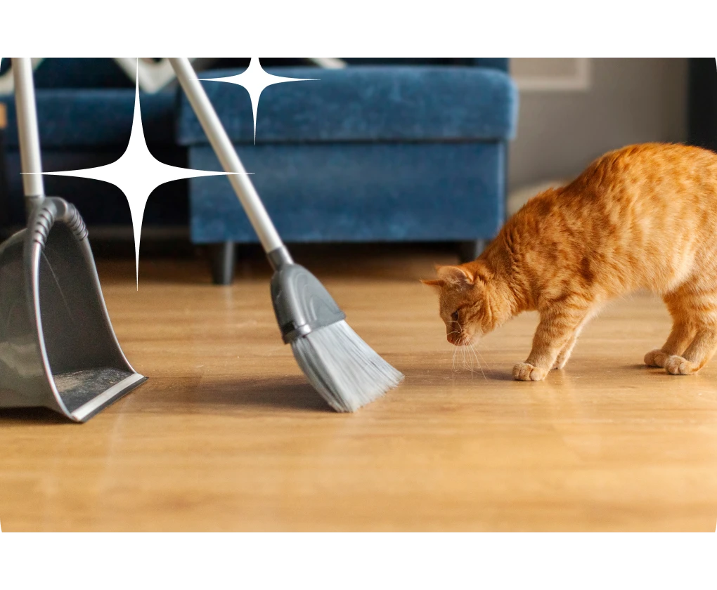 Homeowner sweeping luxury vinyl flooring and a cat is intently watching | Lloyd's Carpets & Draperies